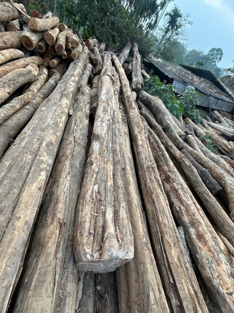 burma-teak