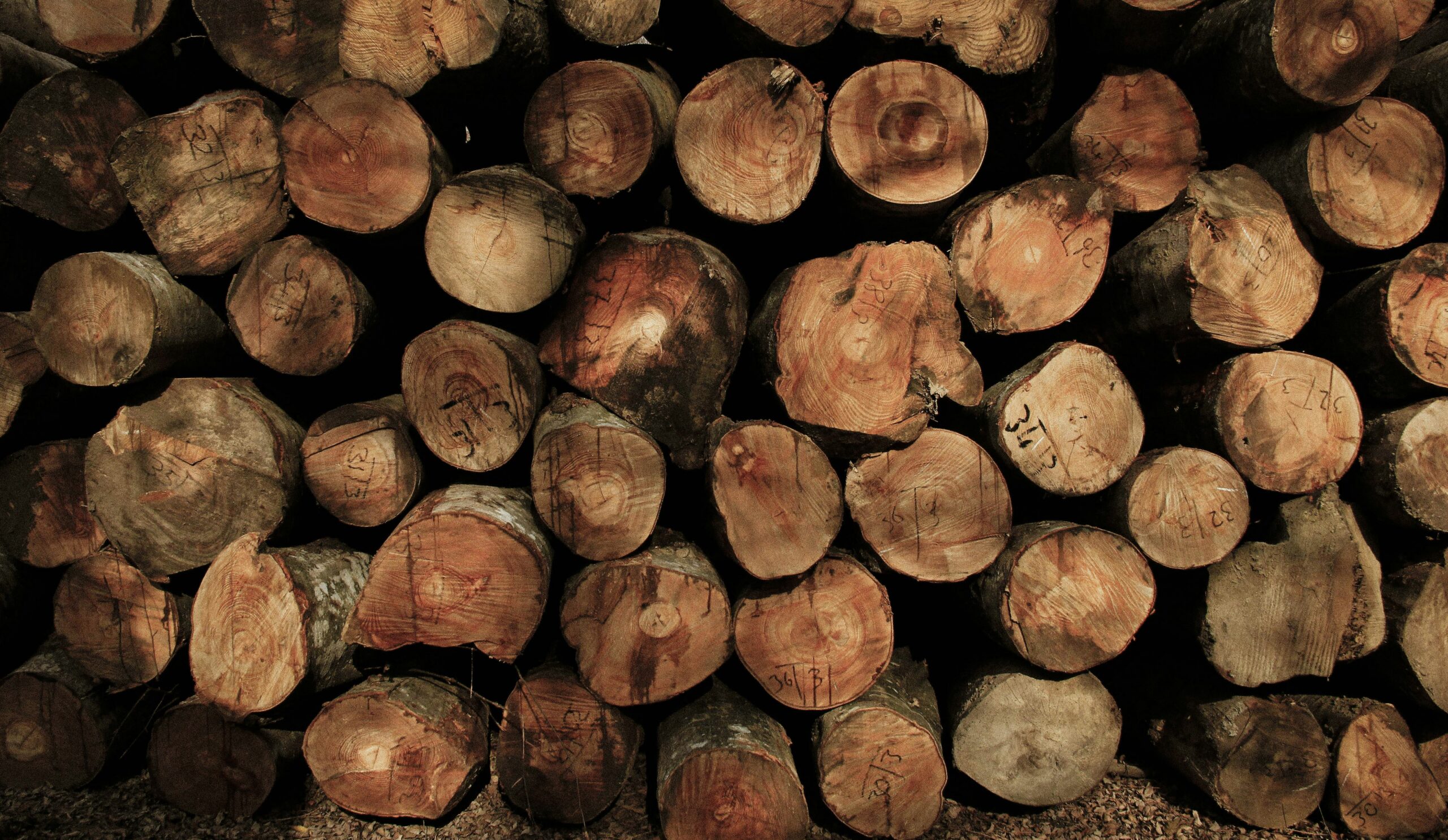 Burma Teak Wood