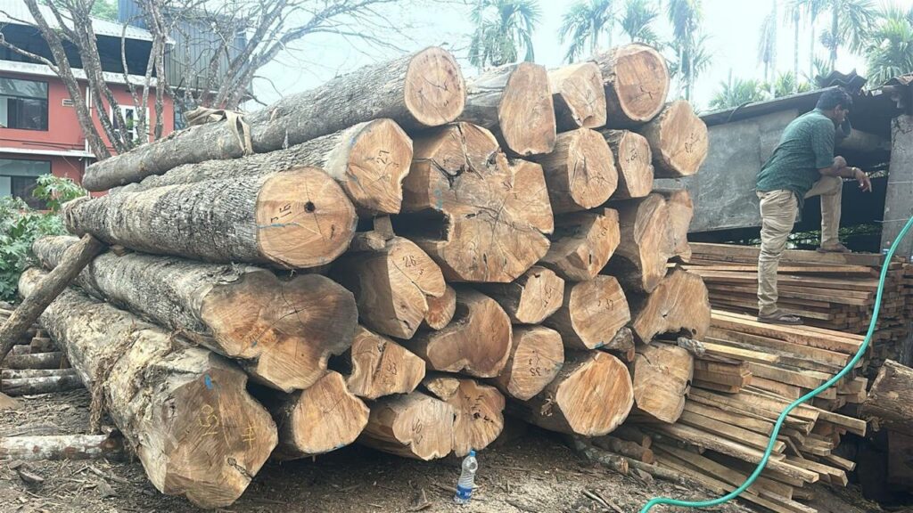 nilambur-wood-logs