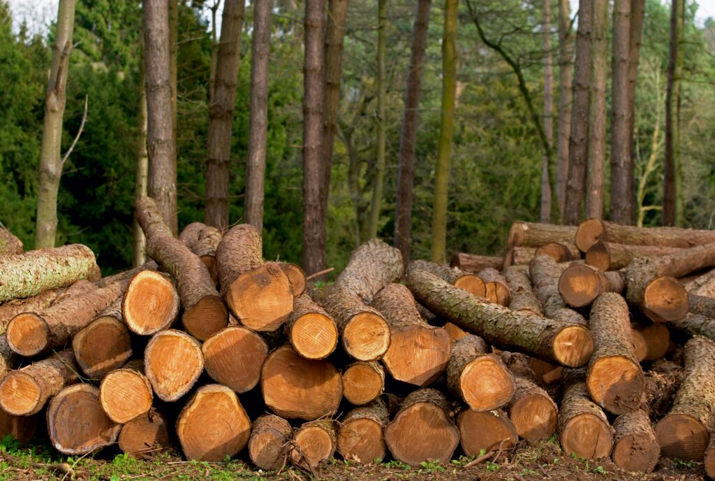 Hunsur wood