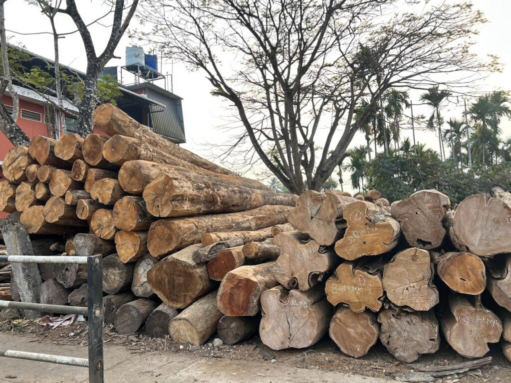 teak-wood-logs
