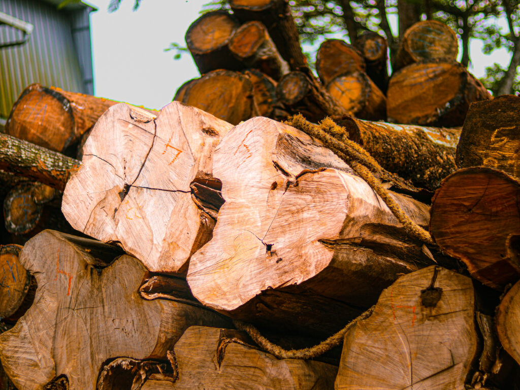 Nilambur Teak Wood