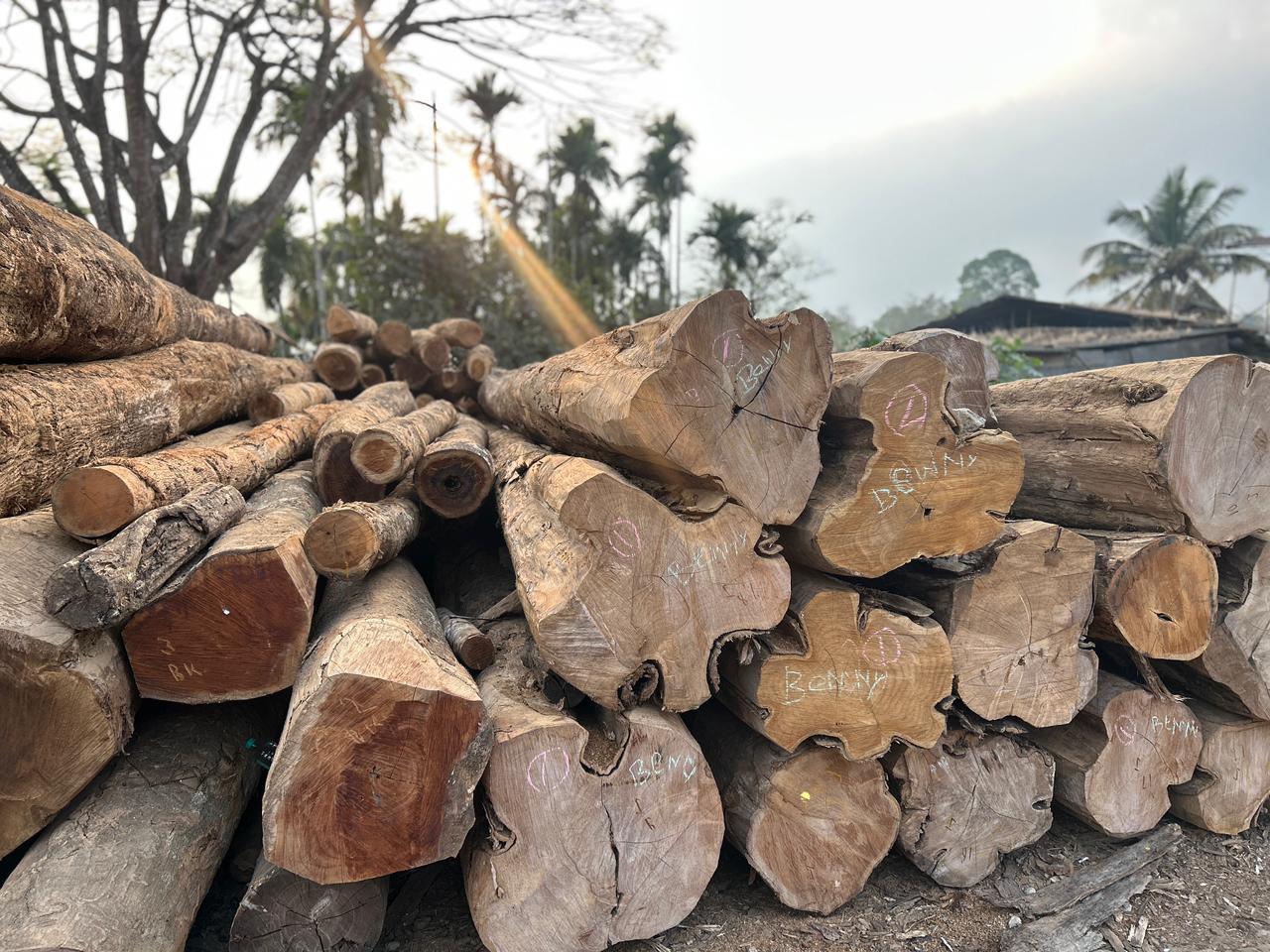 Hunsur teakwood logs