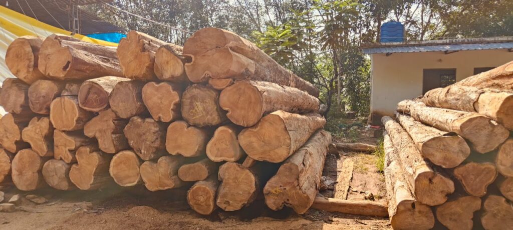 Logs Nilambur Teakwood