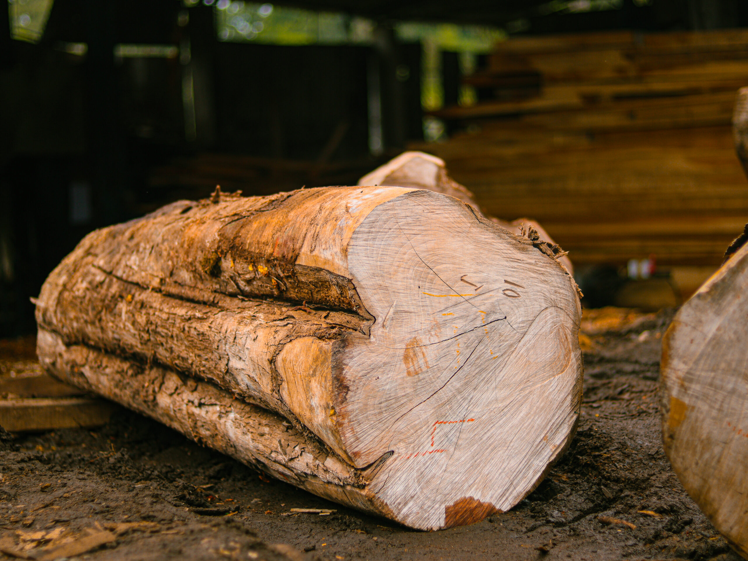 NilamburTreakwood-Cross-section-scaled