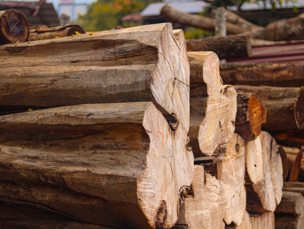 Nilambur Wood Logs