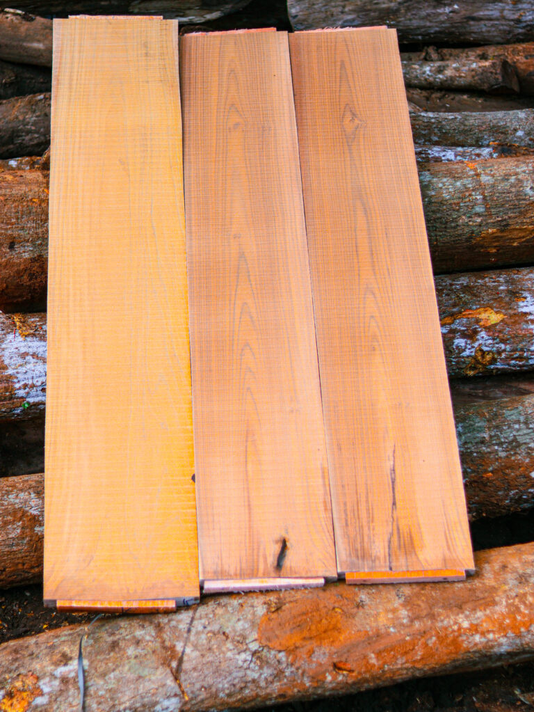 nilambur timber