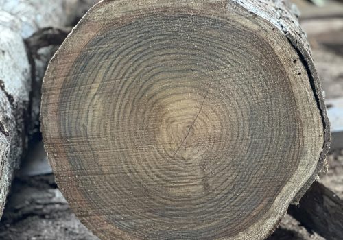 Good Quality Hunsur Teak