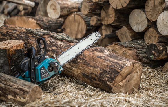 Hunsur Teak wood cutting