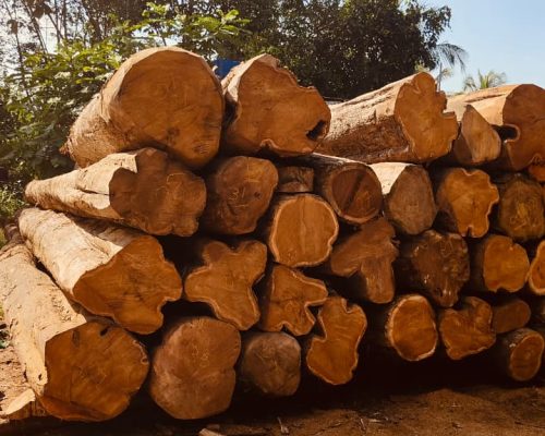 Logs-Nilambur Timber