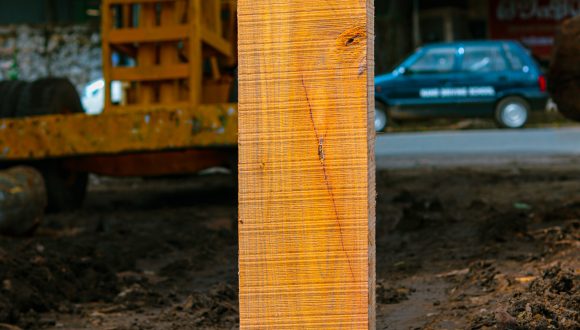 nilambur cut size
