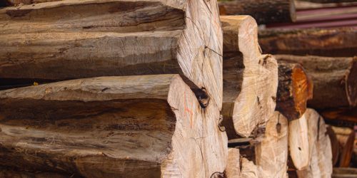 Nilambur Wood Logs