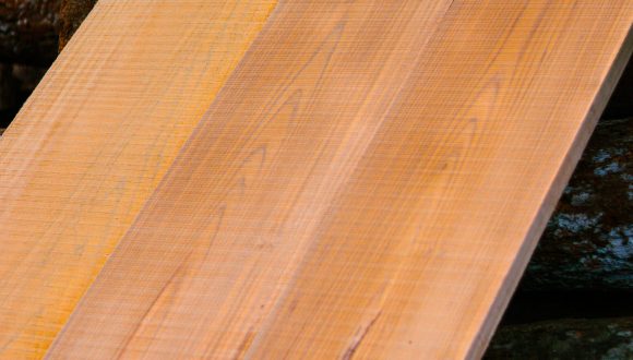 nilambur wood