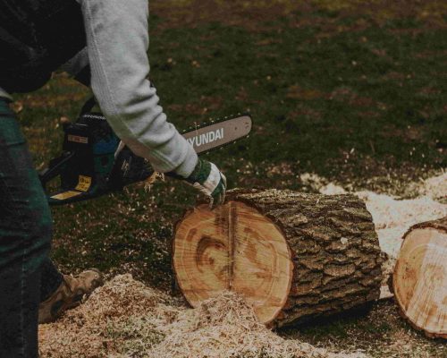 burma-wood-cutting