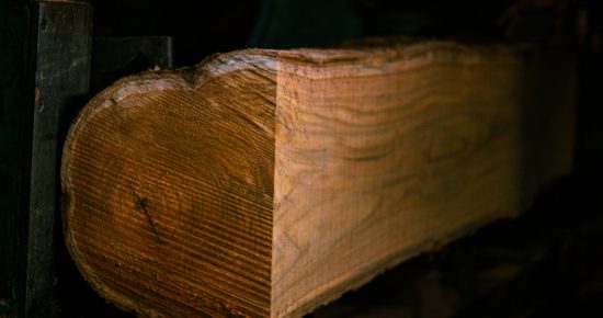 nilambur teak cross section