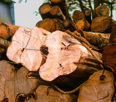 Nilambur Teak Wood
