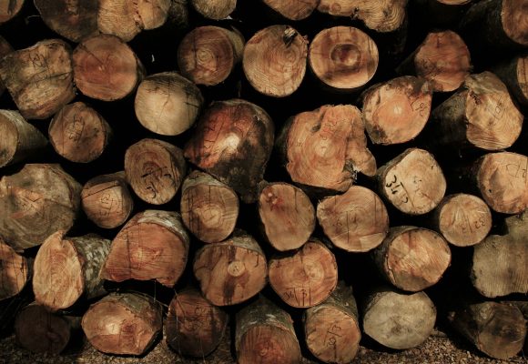 Wood Logs